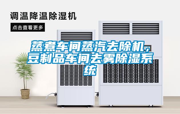 蒸煮車間蒸汽去除機，豆制品車間去霧除濕系統