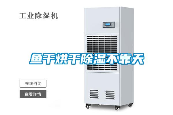 魚干烘干除濕不靠天