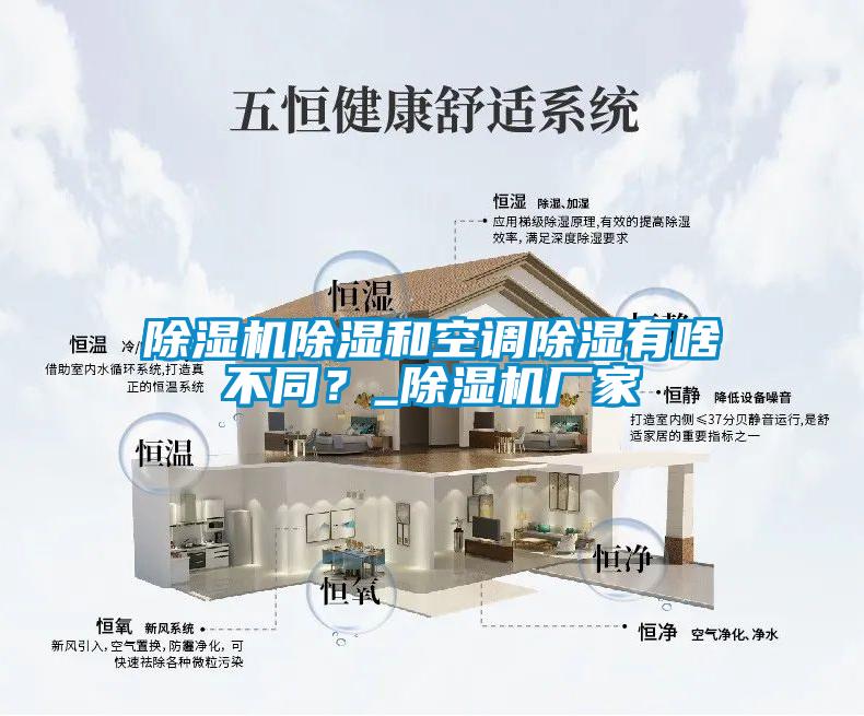 除濕機除濕和空調除濕有啥不同？_除濕機廠家