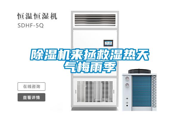 除濕機來拯救濕熱天氣梅雨季