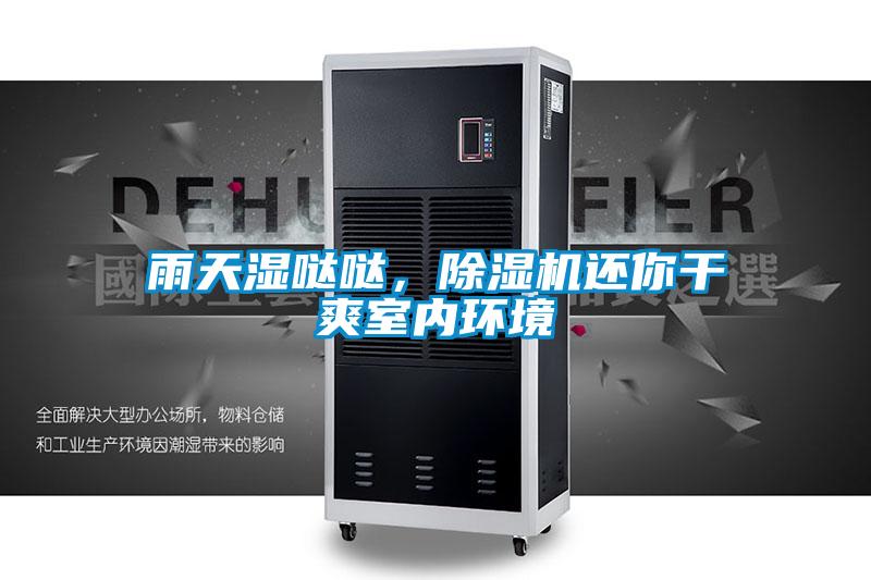 雨天濕噠噠，除濕機還你干爽室內環境