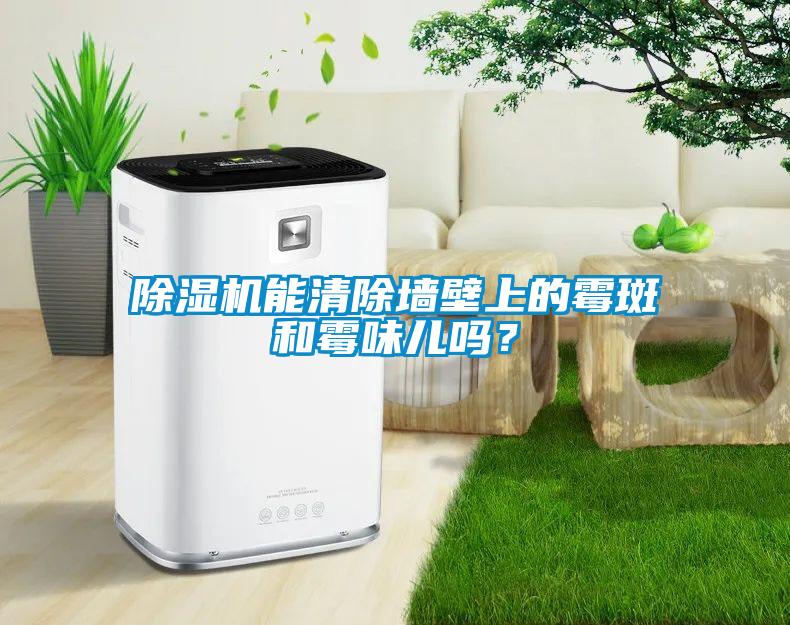 除濕機能清除墻壁上的霉斑和霉味兒嗎？