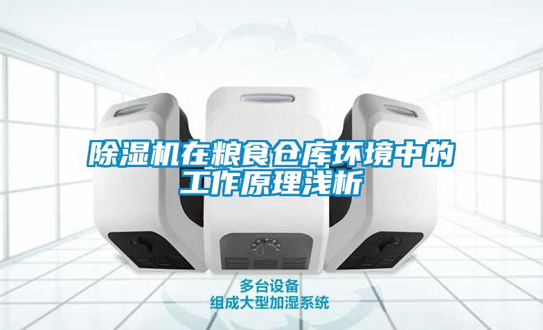 除濕機(jī)在糧食倉庫環(huán)境中的工作原理淺析