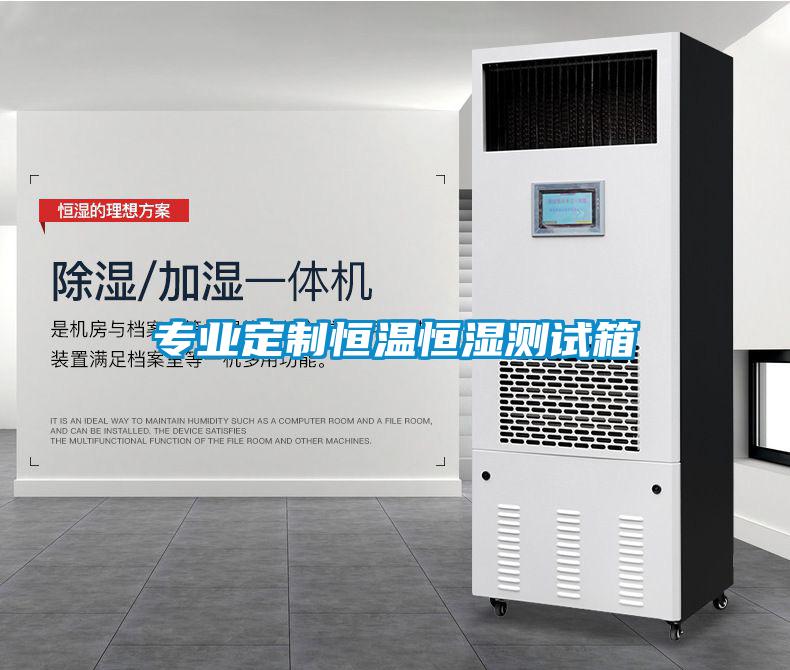 專業(yè)定制恒溫恒濕測試箱