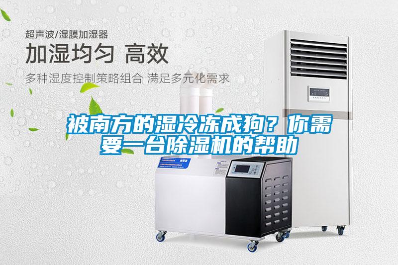 被南方的濕冷凍成狗？你需要一臺除濕機的幫助