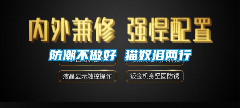防潮不做好 貓奴淚兩行