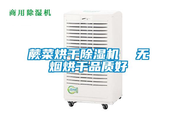 蕨菜烘干除濕機  無煙烘干品質好