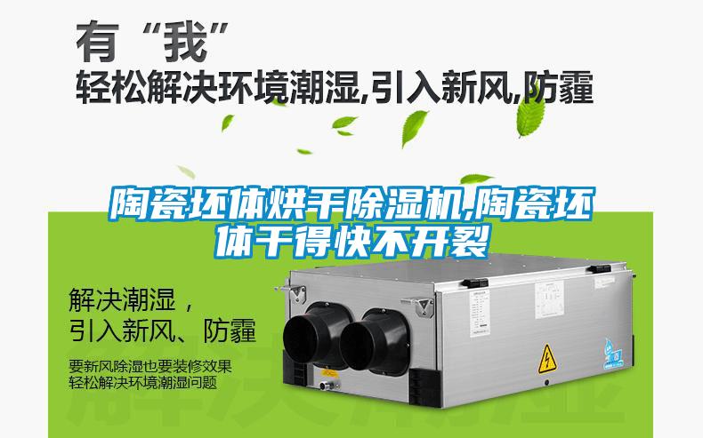 陶瓷坯體烘干除濕機,陶瓷坯體干得快不開裂