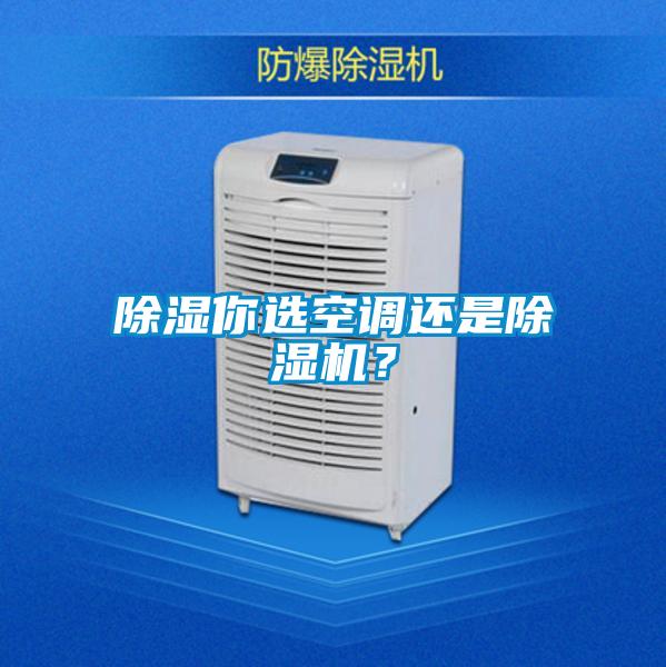 除濕你選空調還是除濕機？