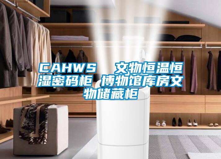 CAHWS  文物恒溫恒濕密碼柜 博物館庫房文物儲(chǔ)藏柜