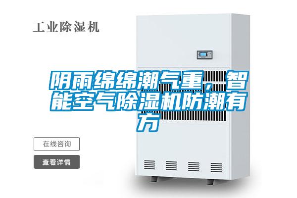 陰雨綿綿潮氣重，智能空氣除濕機防潮有方