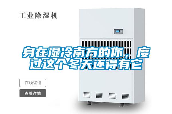 身在濕冷南方的你，度過這個冬天還得有它