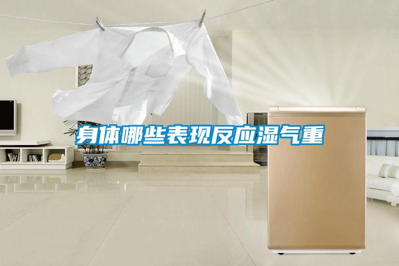 身體哪些表現(xiàn)反應(yīng)濕氣重