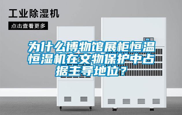 為什么博物館展柜恒溫恒濕機在文物保護中占據主導地位？
