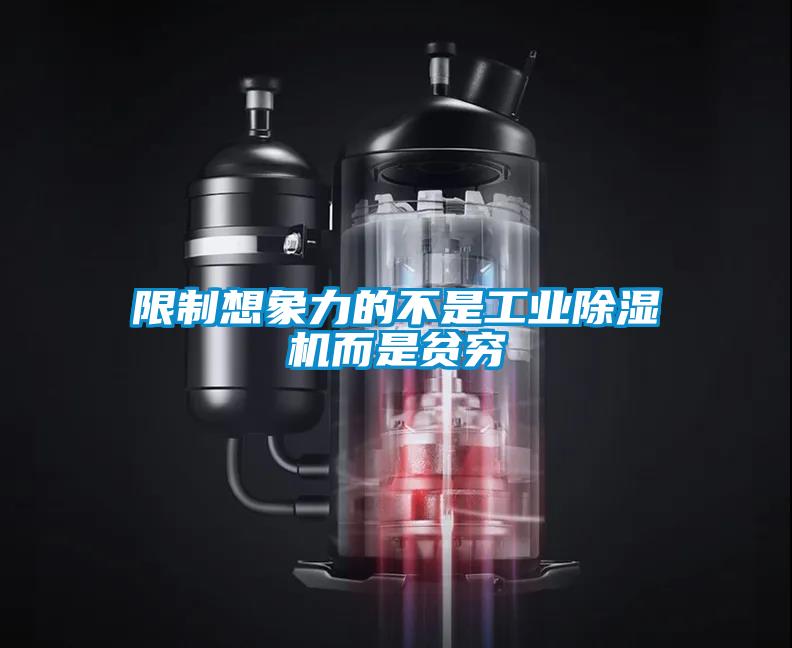 限制想象力的不是工業除濕機而是貧窮