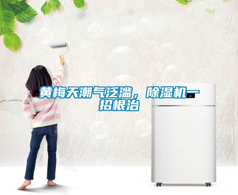 黃梅天潮氣泛濫，除濕機一招根治