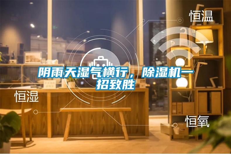 陰雨天濕氣橫行，除濕機一招致勝