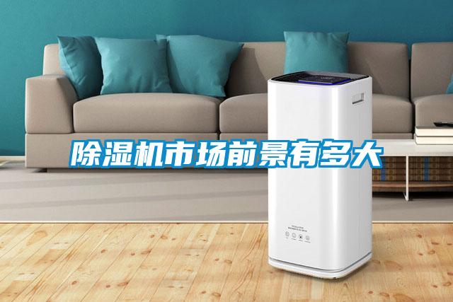 除濕機(jī)市場(chǎng)前景有多大