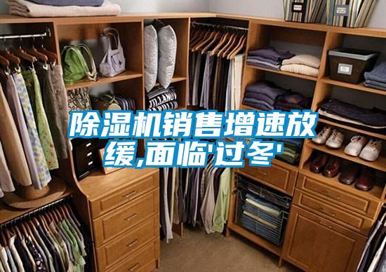 除濕機銷售增速放緩,面臨'過冬'