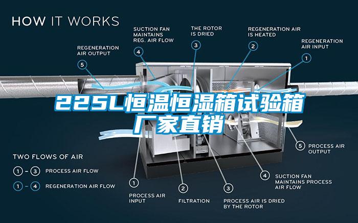 225L恒溫恒濕箱試驗(yàn)箱廠家直銷