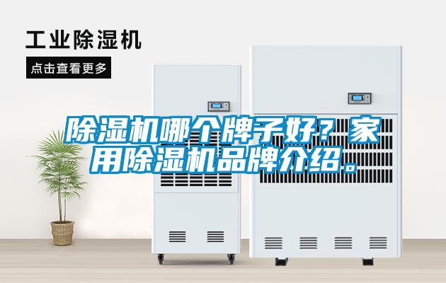 除濕機哪個牌子好？家用除濕機品牌介紹。