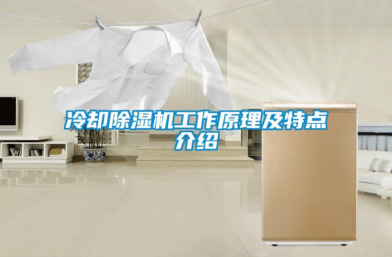 冷卻除濕機工作原理及特點介紹