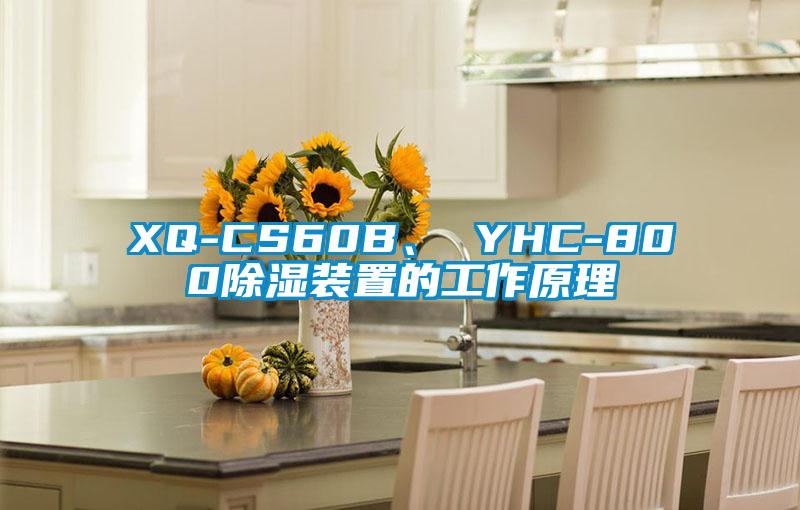 XQ-CS60B、 YHC-800除濕裝置的工作原理