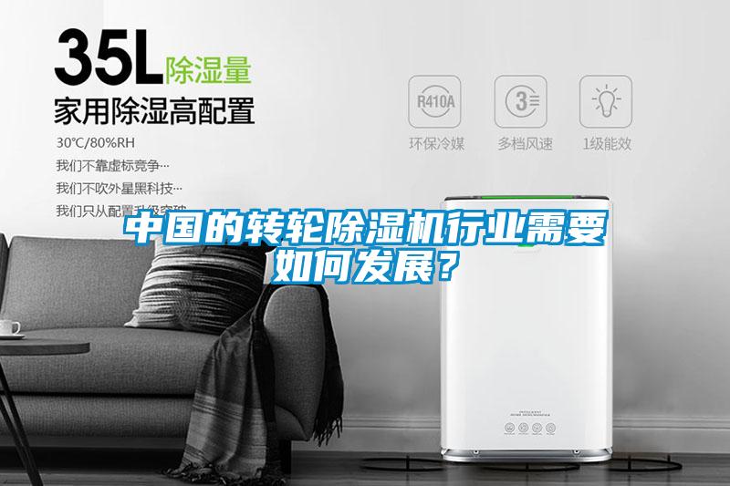 中國的轉輪除濕機行業需要如何發展？