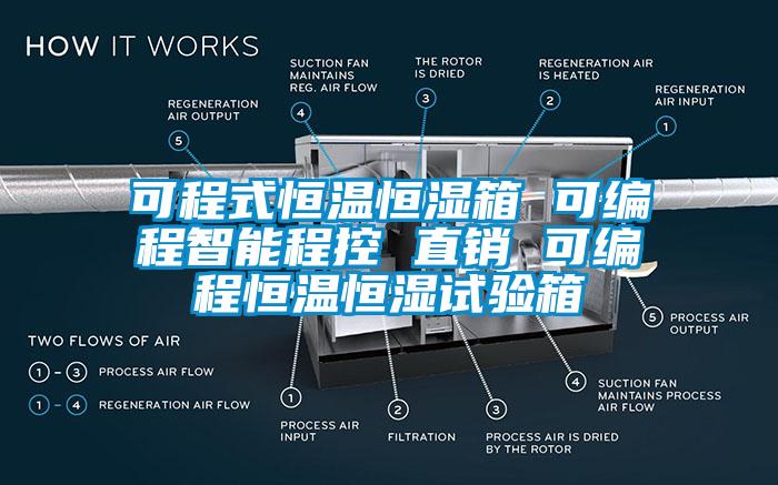 可程式恒溫恒濕箱 可編程智能程控 直銷 可編程恒溫恒濕試驗箱