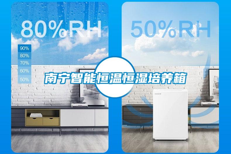 南寧智能恒溫恒濕培養(yǎng)箱