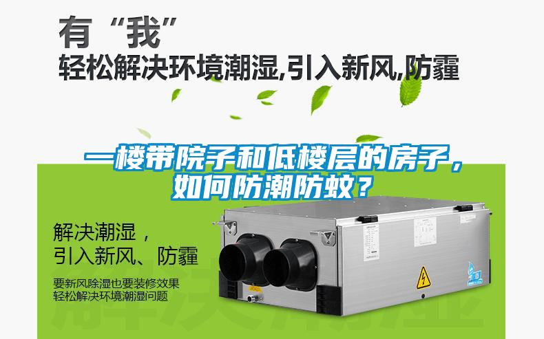 一樓帶院子和低樓層的房子，如何防潮防蚊？