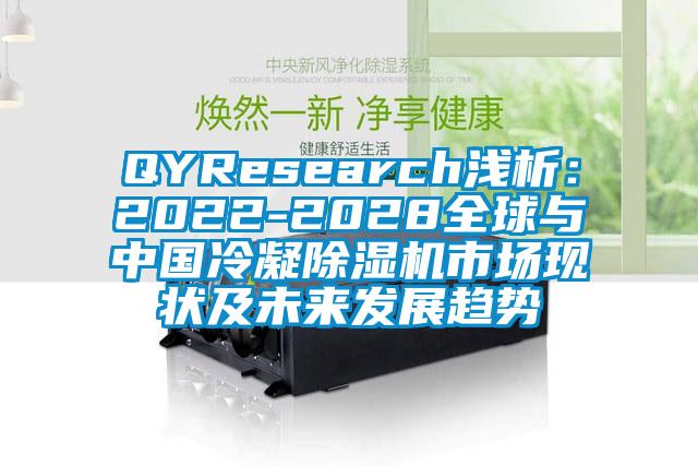 QYResearch淺析：2022-2028全球與中國冷凝除濕機市場現狀及未來發展趨勢