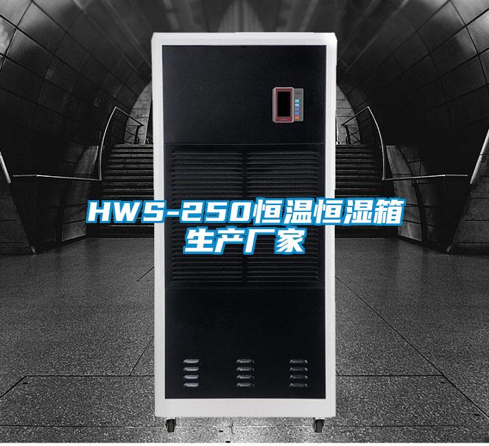 HWS-250恒溫恒濕箱生產(chǎn)廠家