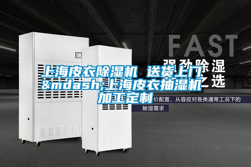 上海皮衣除濕機 送貨上門 —上海皮衣抽濕機 加工定制