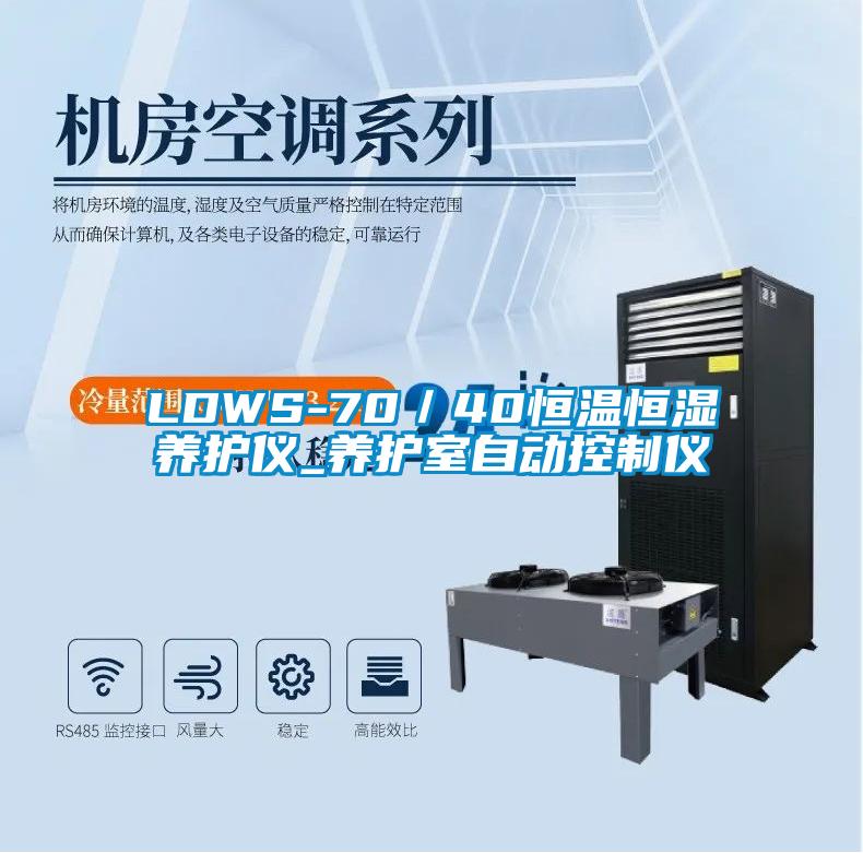 LDWS-70／40恒溫恒濕養(yǎng)護儀_養(yǎng)護室自動控制儀