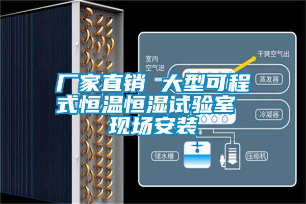 廠家直銷 大型可程式恒溫恒濕試驗室 現(xiàn)場安裝