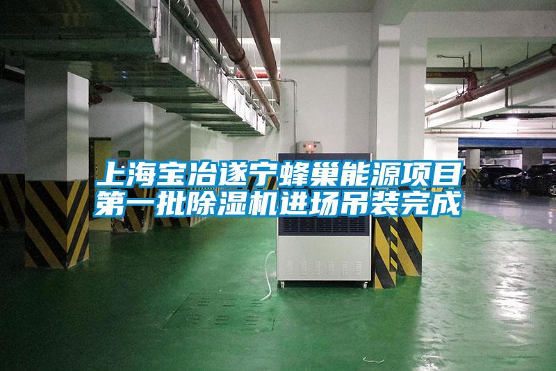 上海寶冶遂寧蜂巢能源項目第一批除濕機進場吊裝完成