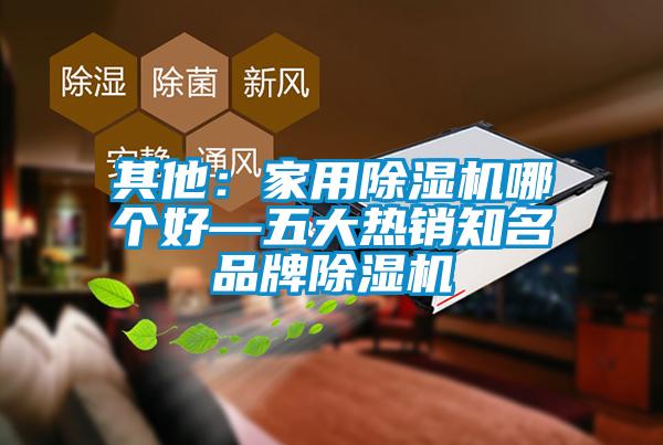 其他：家用除濕機(jī)哪個(gè)好—五大熱銷知名品牌除濕機(jī)