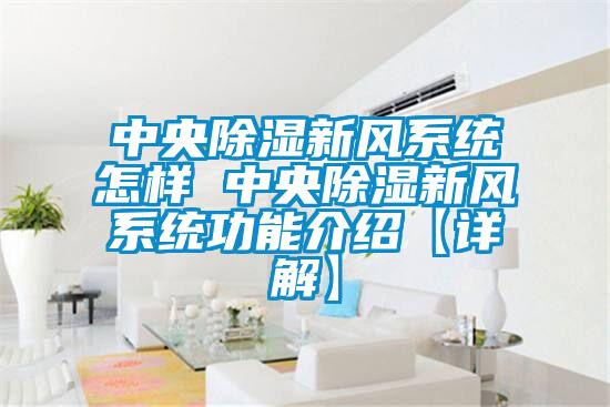 中央除濕新風系統怎樣 中央除濕新風系統功能介紹【詳解】