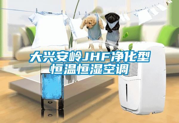大興安嶺JHF凈化型恒溫恒濕空調(diào)