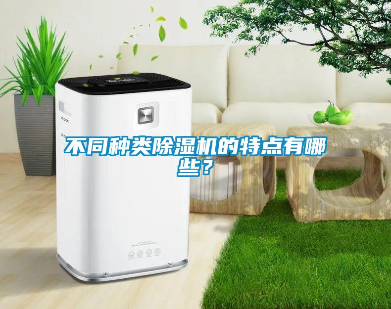 不同種類除濕機(jī)的特點有哪些？