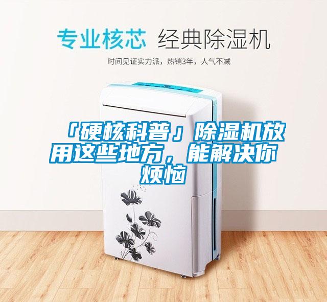 「硬核科普」除濕機放用這些地方，能解決你煩惱