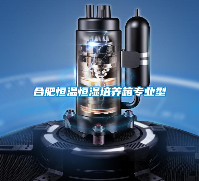 合肥恒溫恒濕培養箱專業型