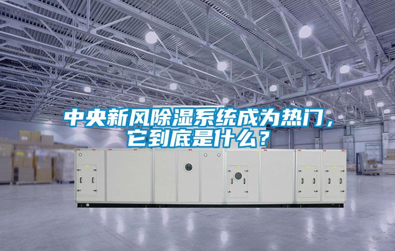 中央新風除濕系統成為熱門，它到底是什么？