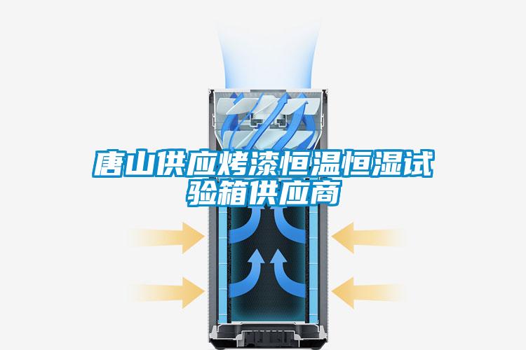 唐山供應(yīng)烤漆恒溫恒濕試驗(yàn)箱供應(yīng)商