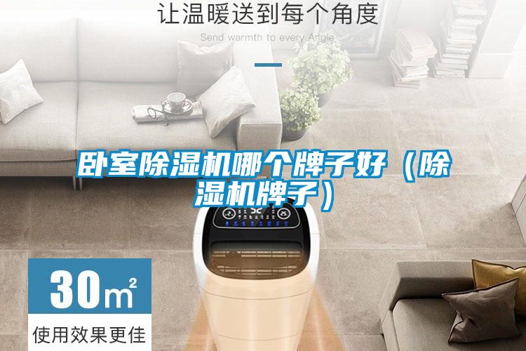 臥室除濕機哪個牌子好（除濕機牌子）