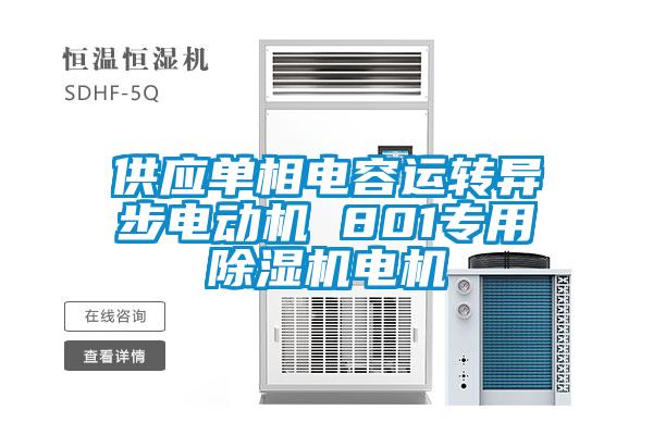 供應(yīng)單相電容運(yùn)轉(zhuǎn)異步電動(dòng)機(jī) 801專用除濕機(jī)電機(jī)