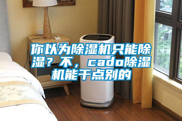 你以為除濕機只能除濕？不，cado除濕機能干點別的