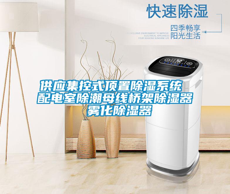供應集控式頂置除濕系統 配電室除潮母線橋架除濕器 霧化除濕器