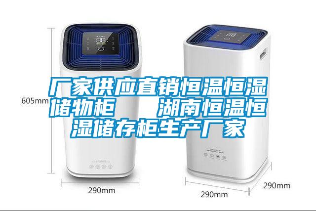 廠家供應(yīng)直銷恒溫恒濕儲物柜   湖南恒溫恒濕儲存柜生產(chǎn)廠家